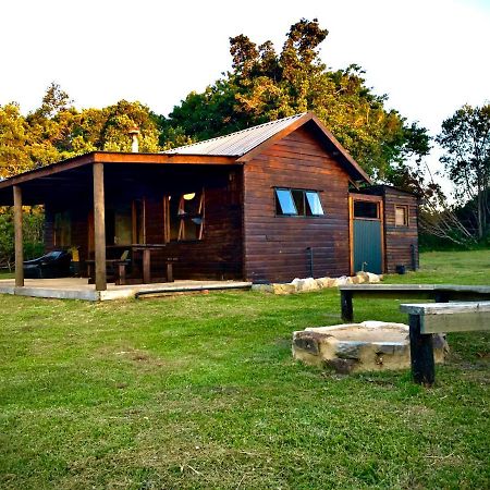 Pura Vida Forest Cabin Witelsbos Eksteriør billede