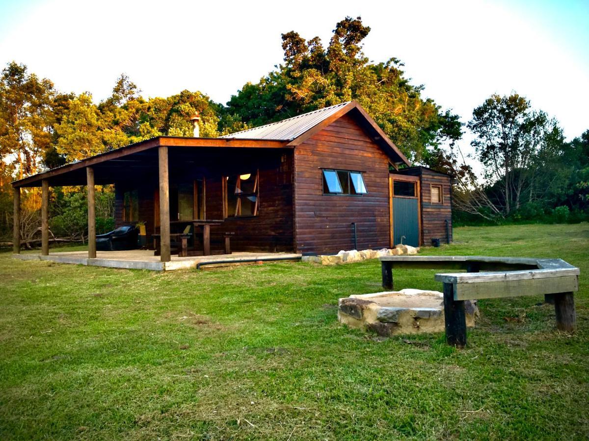 Pura Vida Forest Cabin Witelsbos Eksteriør billede