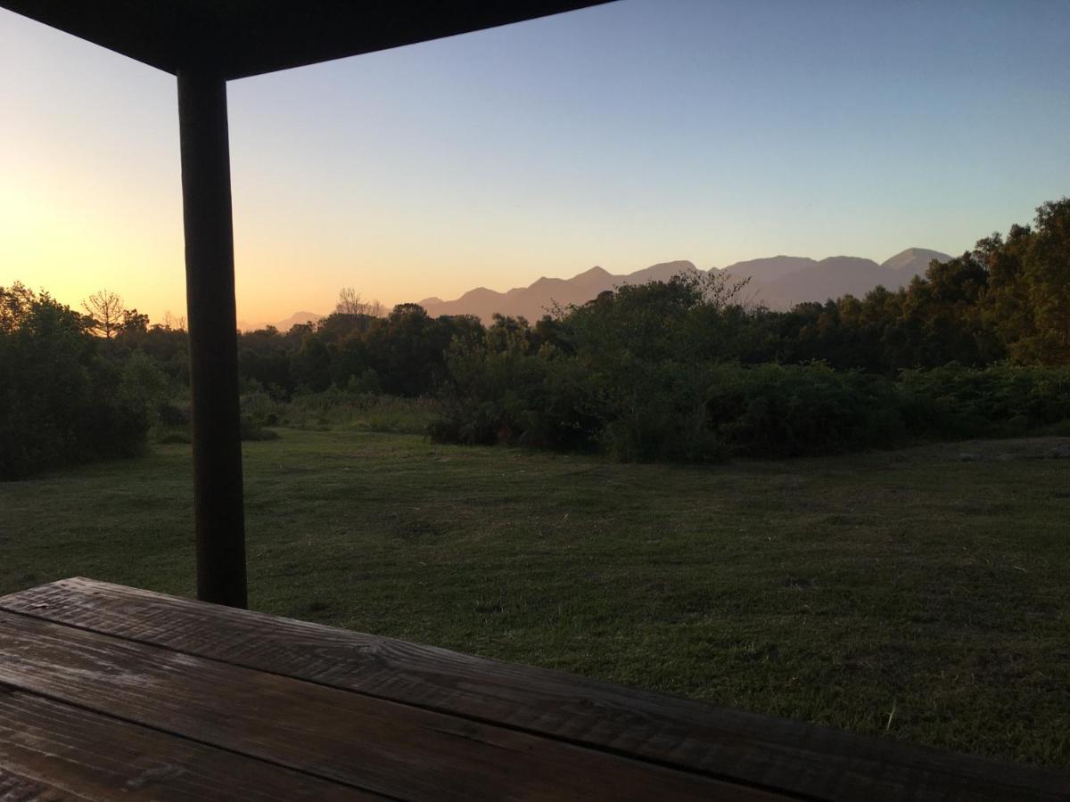 Pura Vida Forest Cabin Witelsbos Eksteriør billede